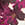 T-shirt floral bordado lateral